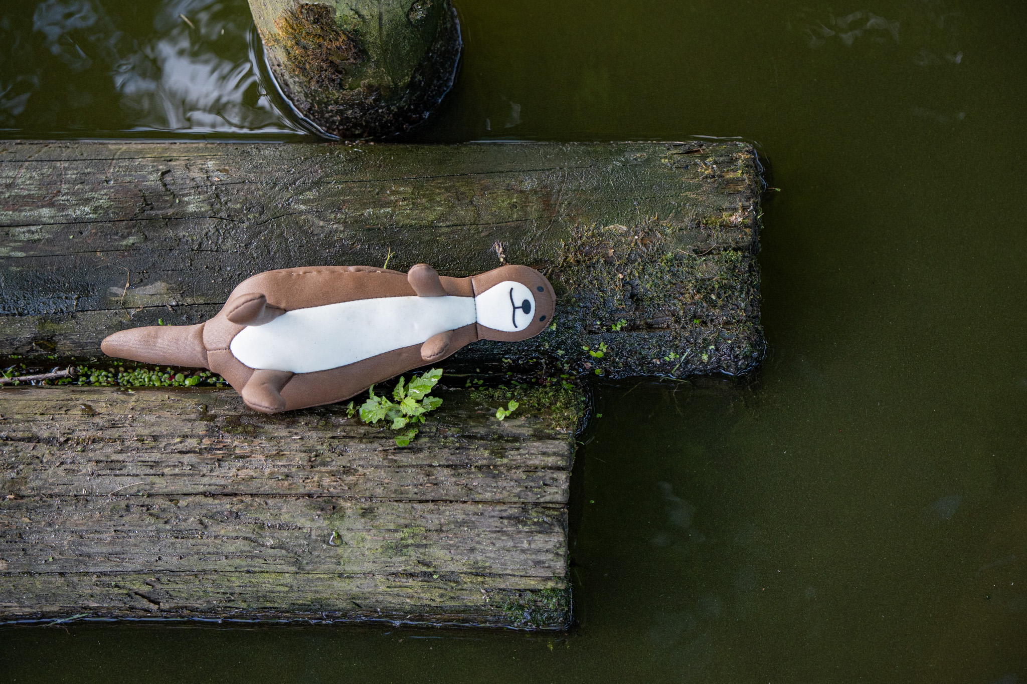 Rukka Pets Schwimmspielzeug Otter